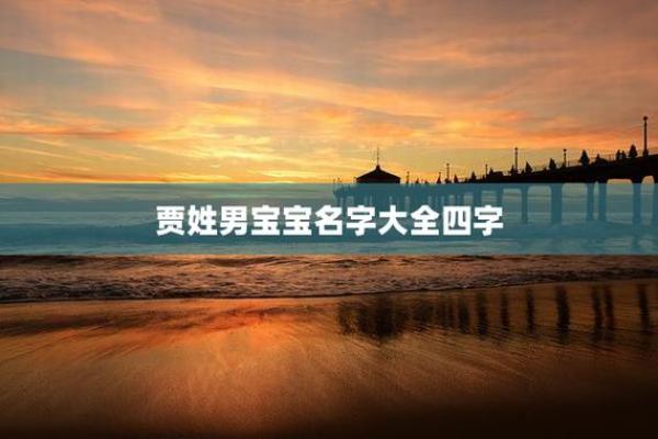 贾姓男孩名字大全-贾姓男孩起名字大全-贾姓名字大全姓名