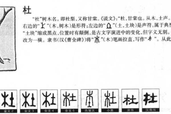 杜姓女孩名字大全-杜姓女孩起名字大全-杜姓名字大全姓名
