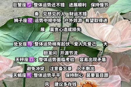 2024年属羊要出大事 会发生什么大事_十二星座