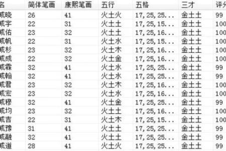下午出生的属鼠男孩如何起名才合适姓名