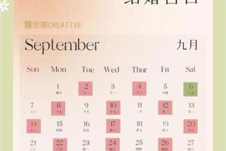2025年属猪的几月结婚最佳 95年属猪的最佳配偶