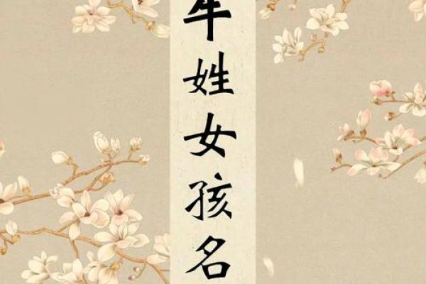 下午出生的属牛男孩起什么名字比较合适姓名