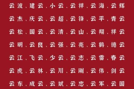 2019年4月23号子时出生的男孩如何起名姓名