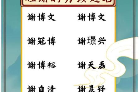 2019年3月22号巳时出生的男孩应该起什么样的名字姓名