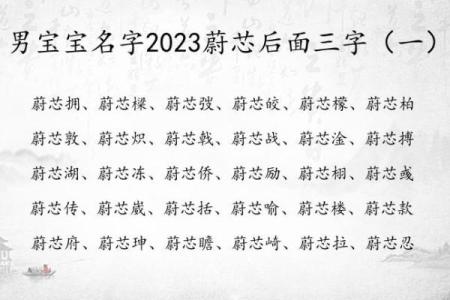 给凌晨3点出生的属猴男孩起名字要用什么字合适姓名