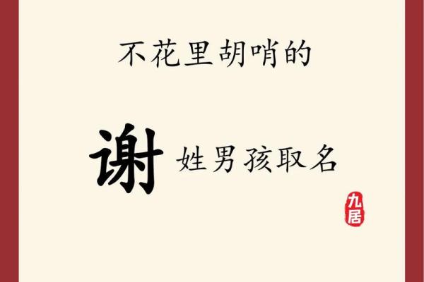 2019年4月29号子时出生的男孩如何起名姓名