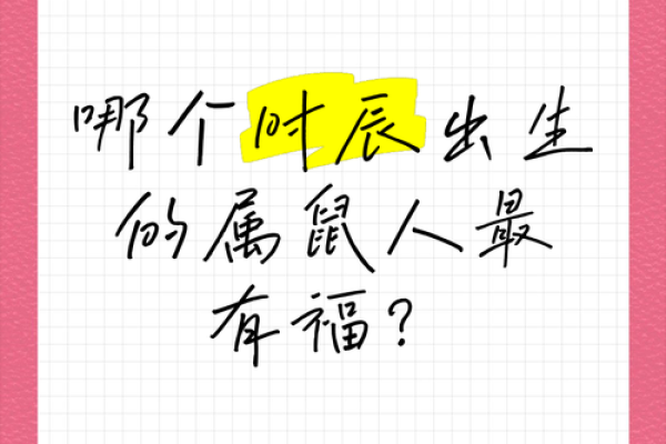 晚上1点出生的属鼠男孩取名大全姓名