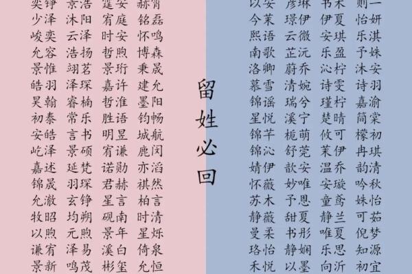 属兔酉时出生的男孩起名适合用什么字姓名