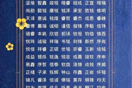 金姓男孩名字大全-金姓男孩起名字大全-金姓名字大全姓名