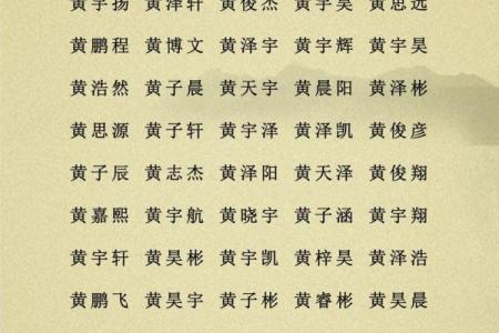 2019年6月16号寅时出生的男孩起名方法姓名