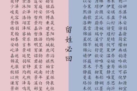 属兔酉时出生的男孩起名适合用什么字姓名