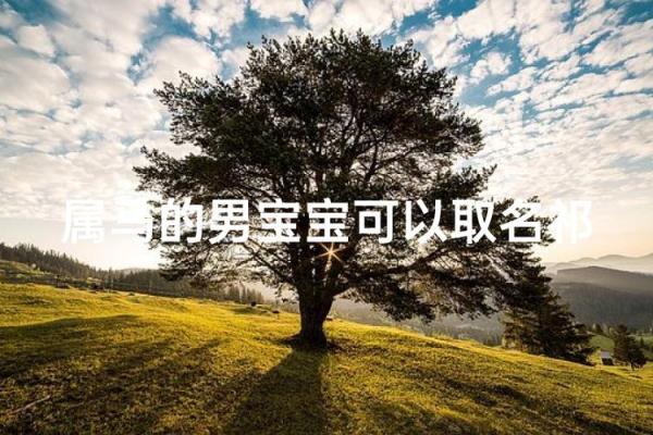 1月份出生的属马男孩起什么名字好姓名