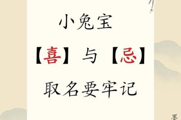 兔宝宝起名用字的禁忌-姓名学-姓名分析姓名