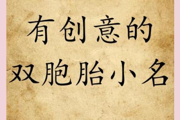 双胞胎宝宝起名的知识都有哪些-姓名学-华易网姓名