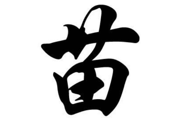 苗姓男孩名字大全-苗姓男孩起名字大全-苗姓名字大全姓名