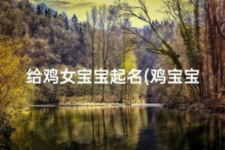 给凌晨3点出生的属鸡男孩取名字适合哪些字姓名