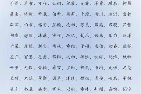 属鸡辰时出生的男孩如何起名，宜用什么字姓名