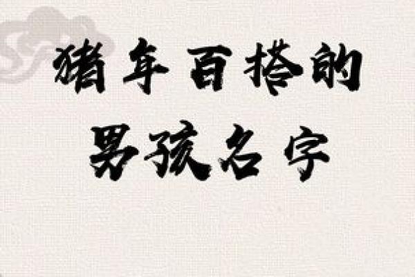 猪年宝宝取小名，好听的小名推荐姓名