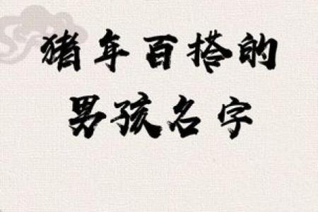 猪年宝宝取小名，好听的小名推荐姓名
