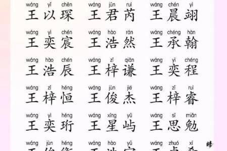 洪姓男孩名字大全-洪姓男孩起名字大全-洪姓名字大全姓名