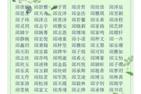 2019年4月30号卯时出生的男孩起名时要注意什么姓名