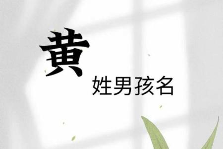 黄姓男孩名字大全-黄姓男孩起名字大全-黄姓名字大全姓名