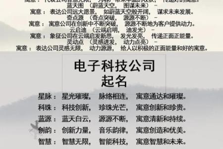网络公司名字大全-名字大全姓名