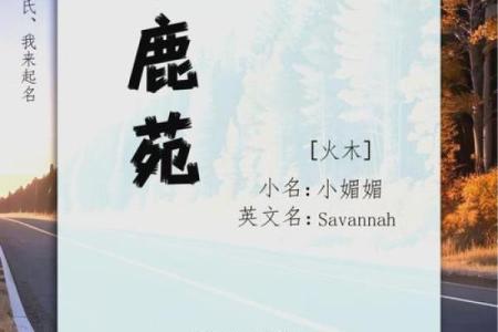章姓男孩名字大全-章姓男孩起名字大全-章姓名字大全姓名