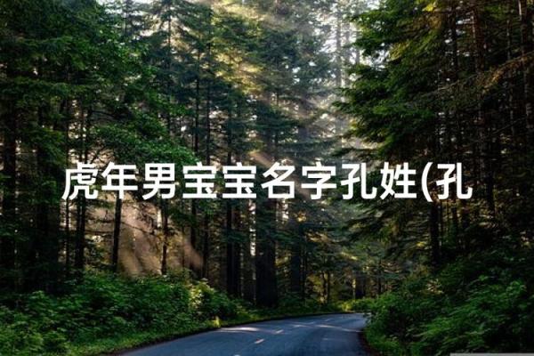 孔姓男孩名字大全-孔姓男孩起名字大全-孔姓名字大全姓名