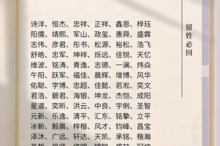 5月份出生的属蛇男孩应该怎样取名字姓名