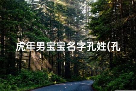 孔姓男孩名字大全-孔姓男孩起名字大全-孔姓名字大全姓名