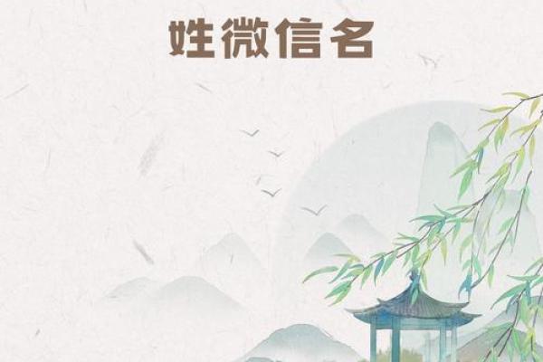 苏姓女孩名字大全-苏姓女孩起名字大全-苏姓名字大全姓名