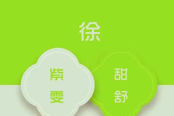 徐姓男孩名字大全-徐姓男孩起名字大全-徐姓名字大全姓名