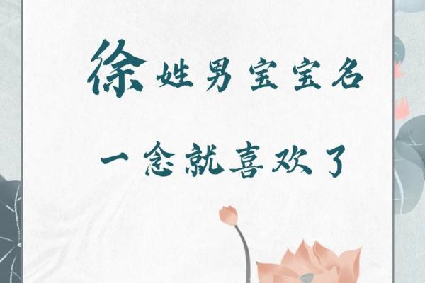 徐姓男孩名字大全-徐姓男孩起名字大全-徐姓名字大全姓名