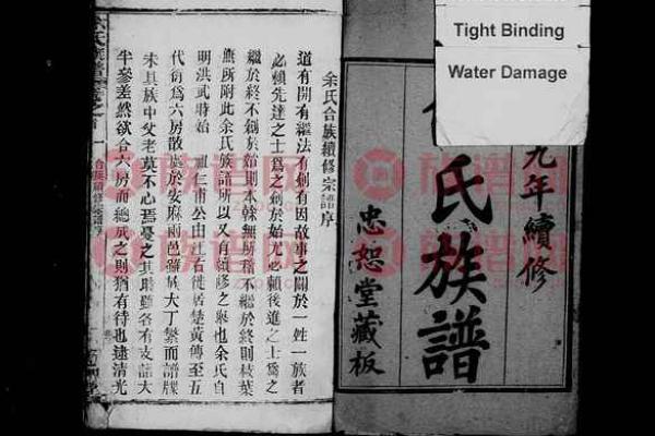 佘姓氏的家谱记载和郡望堂号-姓名学-华易网姓名