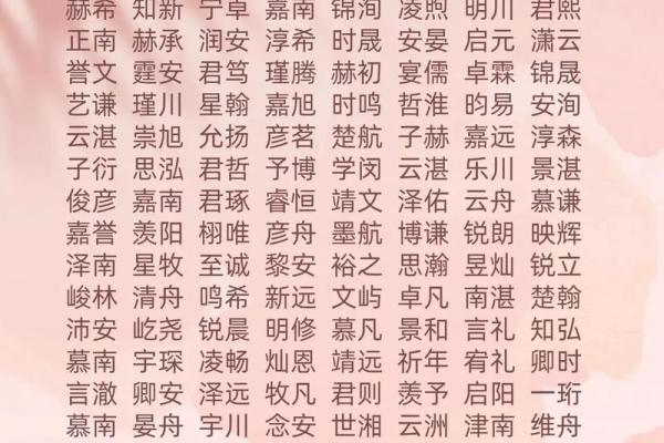 2019年6月14号寅时出生的男孩如何起名姓名