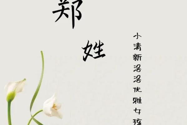 郑姓女孩名字大全-郑姓女孩起名字大全-郑姓名字大全姓名