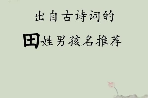 田姓男孩名字大全-田姓男孩起名字大全-田姓名字大全姓名