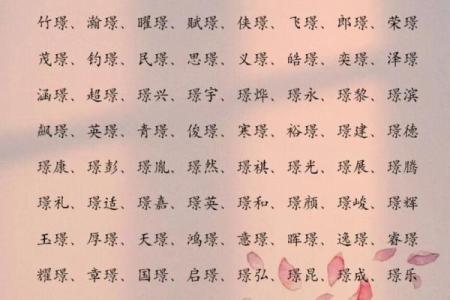 2019年5月22号卯时出生的男孩应该起什么样的名字姓名