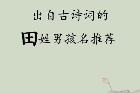 田姓男孩名字大全-田姓男孩起名字大全-田姓名字大全姓名