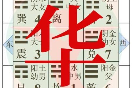 华姓女孩名字大全-华姓女孩起名字大全-华姓名字大全姓名