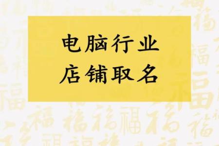 电脑公司名字大全-名字大全姓名