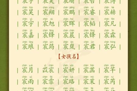 属狗申时出生的男孩如何起名，宜用什么字姓名