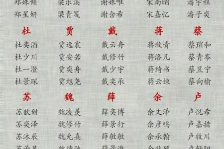 和姓女孩名字大全-和姓女孩起名字大全-和姓名字大全姓名