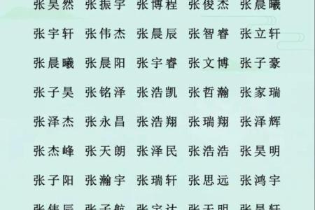 1月份出生的属蛇男孩如何取名姓名