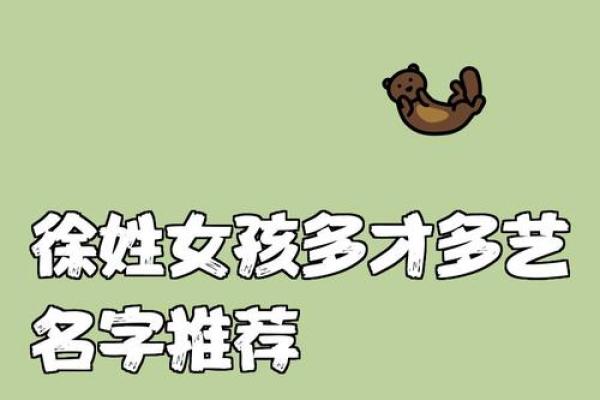 徐姓女孩名字大全-徐姓女孩起名字大全-徐姓名字大全姓名