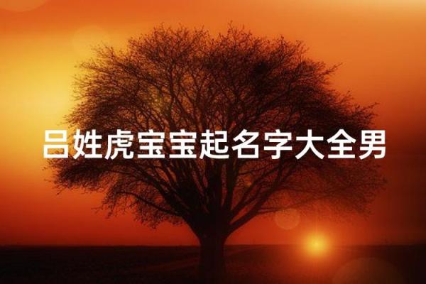 吕姓男孩名字大全-吕姓男孩起名字大全-吕姓名字大全姓名