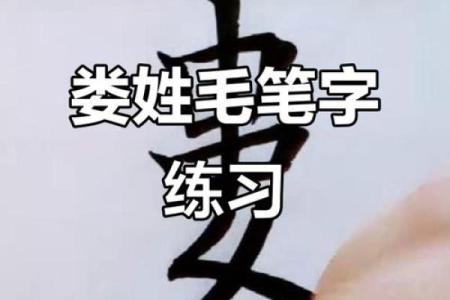 姓娄的名人-姓名学-华易算命网姓名