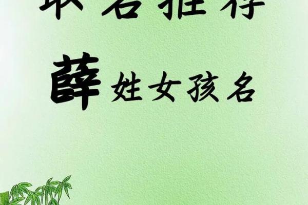 薛姓女孩名字大全-薛姓女孩起名字大全-薛姓名字大全姓名