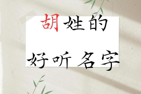 胡姓女孩名字大全-胡姓女孩起名字大全-胡姓名字大全姓名